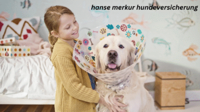 hanse merkur hundeversicherung